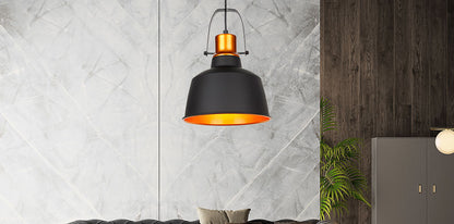 Lampara Colgante Negro Dixon